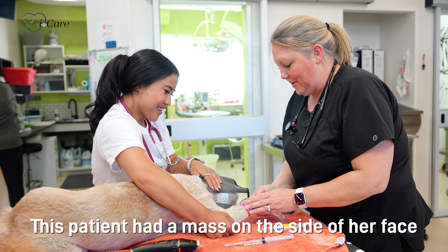 Mass Removal from a Dog's Face Using a Laser Scalpel