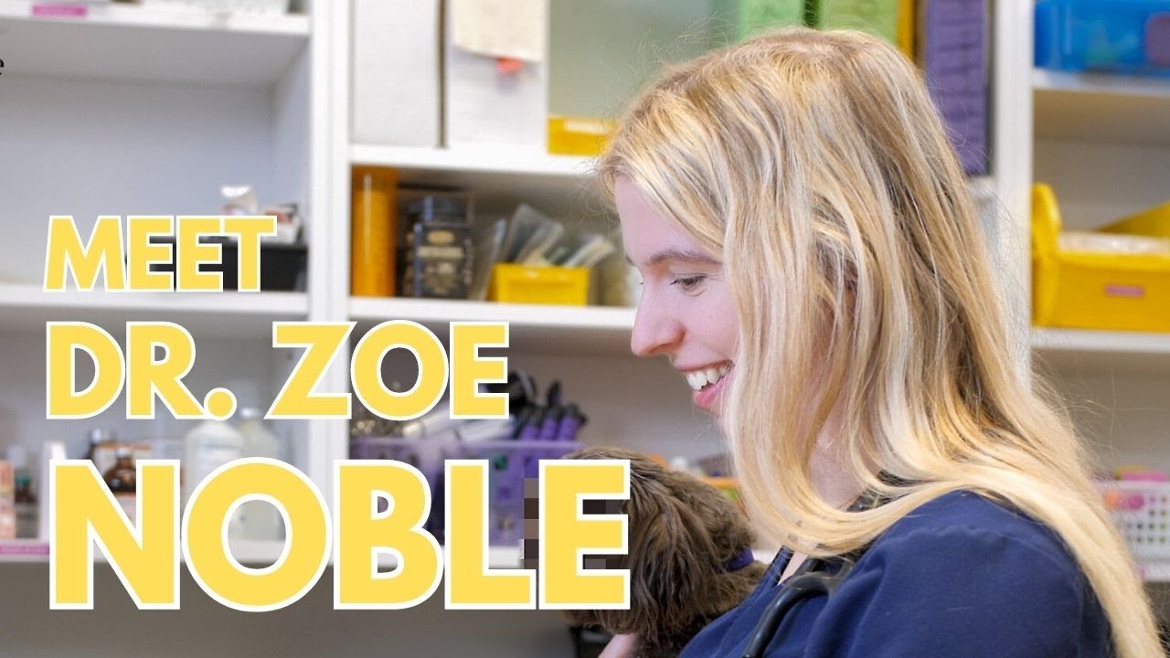 Meet-Dr-Zoe-Noble-Veterinarian-Veterinary-Hospital-Coombs-Parksville1