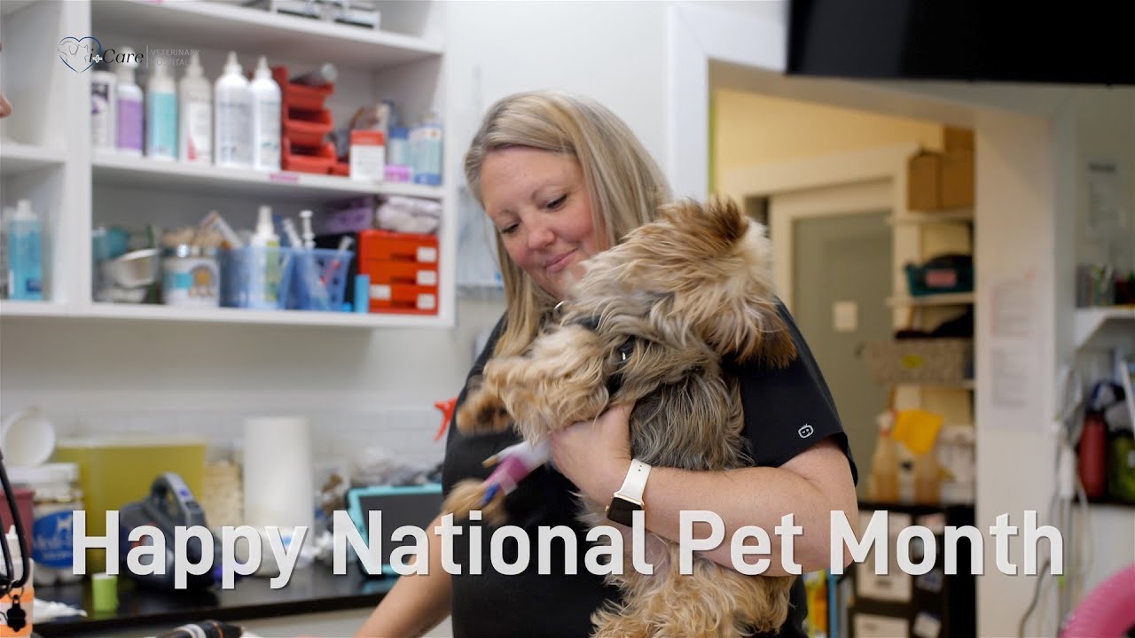 happy-national-pet-month-veterinary-hospital-coombs-parksville1