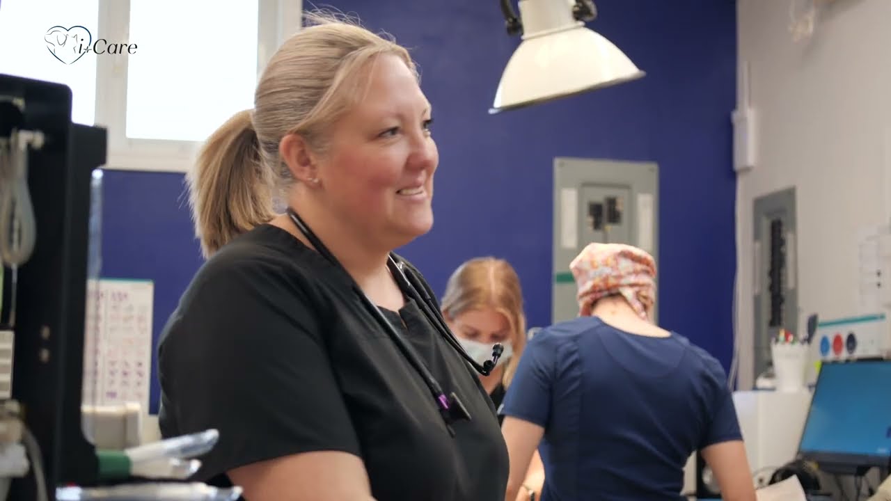 iCare-Veterinary-Hospital-Coombs-Parksville1