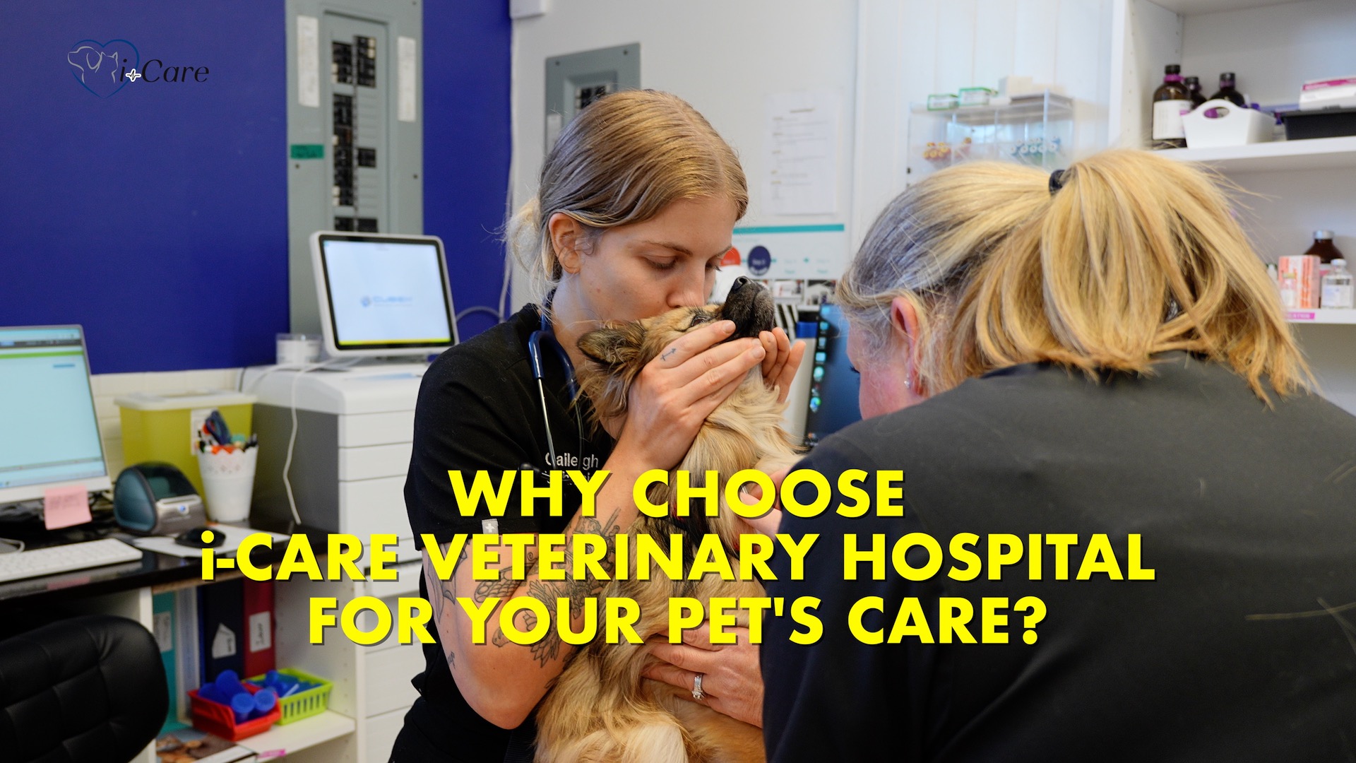 From Check Ups to Surgical Procedures i-Care Veterinary Hospital is Here for Your Pet