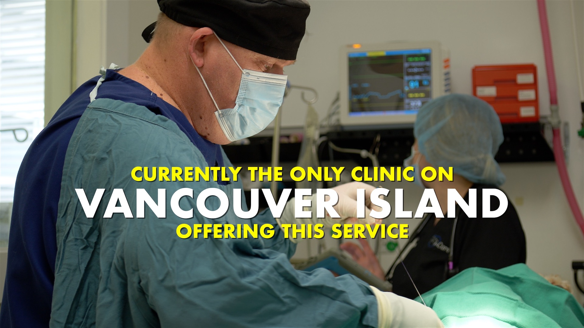 The Only Veterinary Clinic on Vancouver Island to Offer Laparoscopic Spay