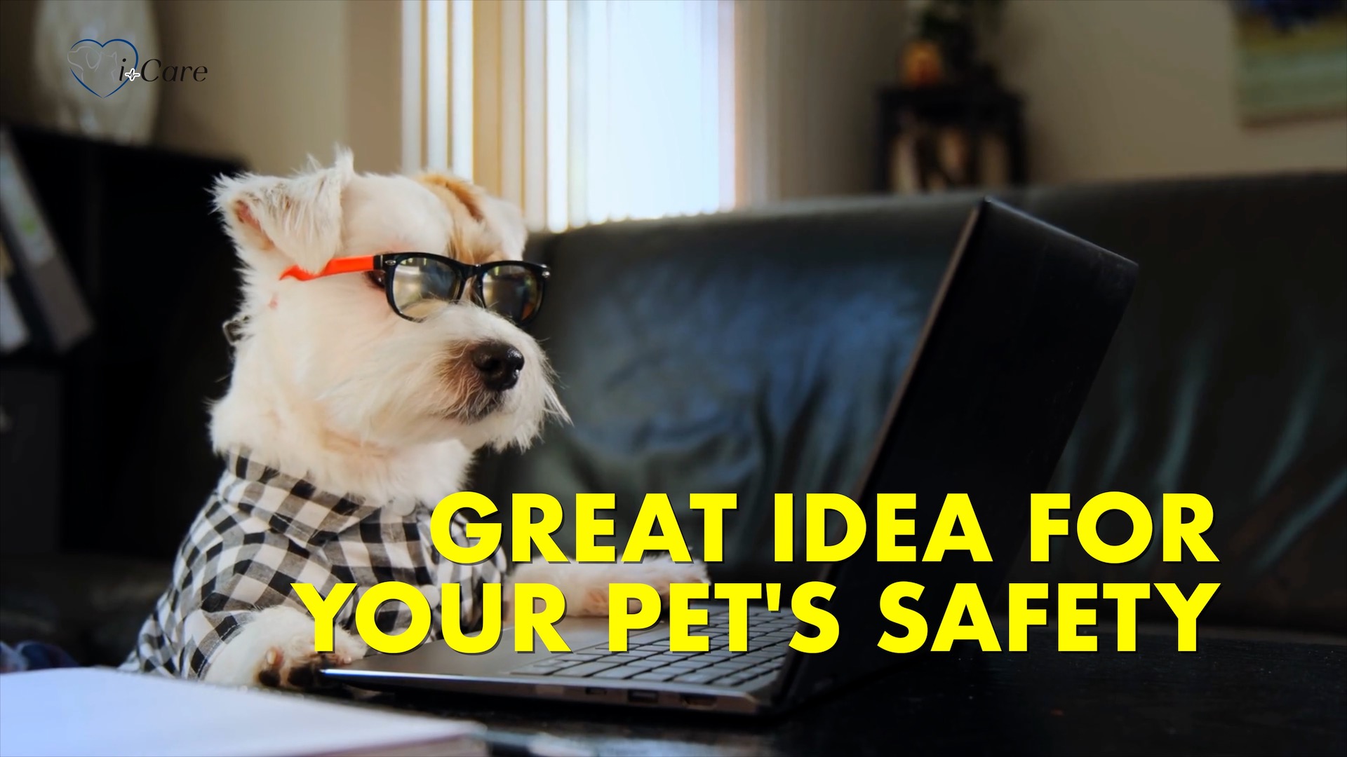 Veterinarian Pro Tip: Why Your Pet Needs a Microchip