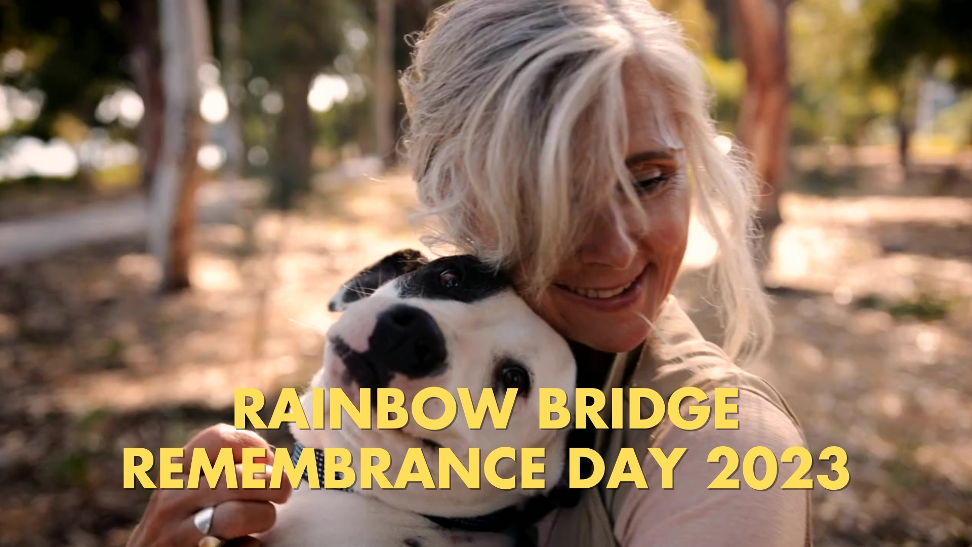 i-Care Veterinary Hospital - Rainbow Bridge Post 2023 (3840 × 2160 px)