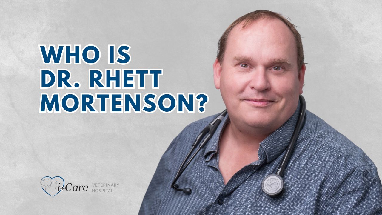 Meet Dr. Rhett Mortenson - Owner and Medical Director of i-Care Veterinary Hospital in Coombs BC Parksville Nanaimo
