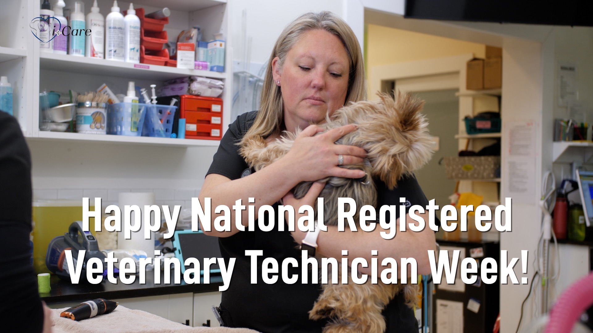 The Best Team of Registered Veterinary Technicians