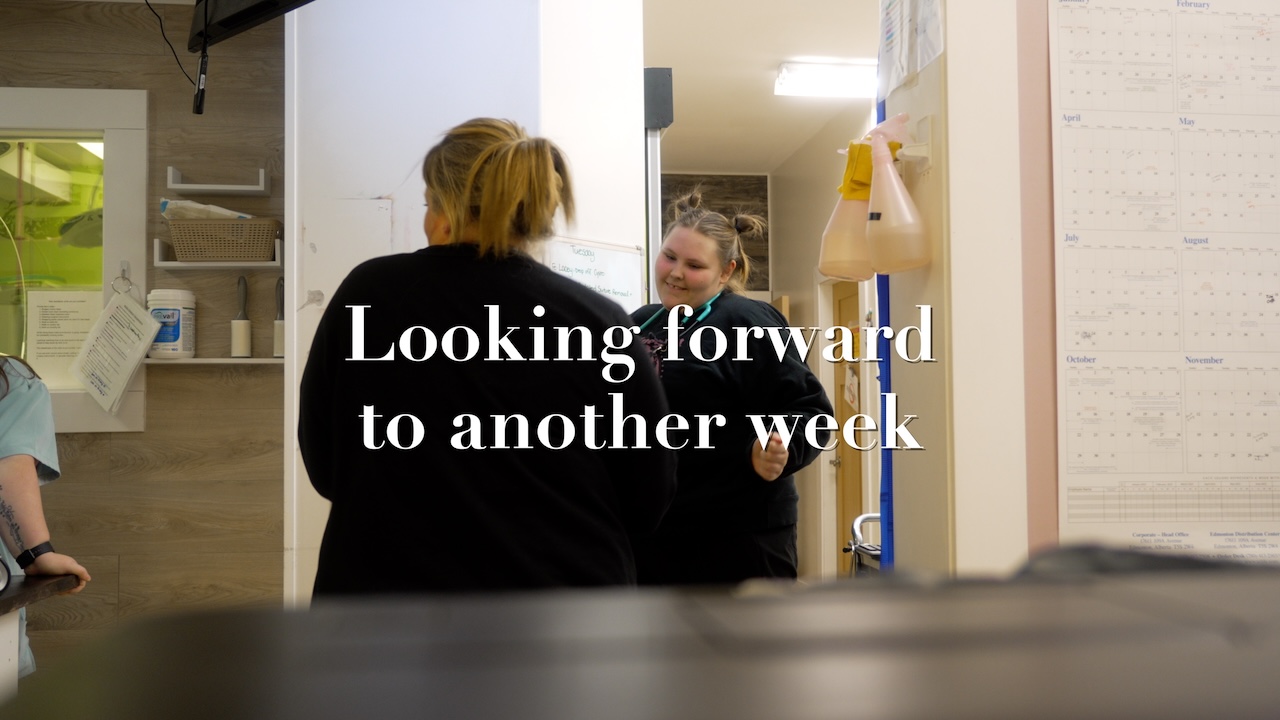 Veterinary hospital in Parksville open 7 days a week