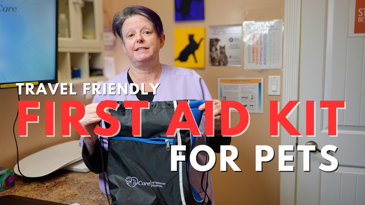 First aid kit for pets Vancouver Island veterinarian