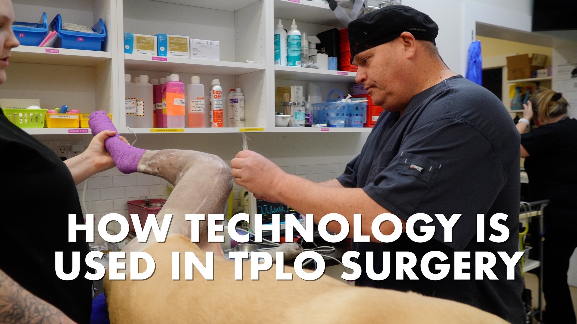 Information about TPLO surgery for dogs on Vancouver Island