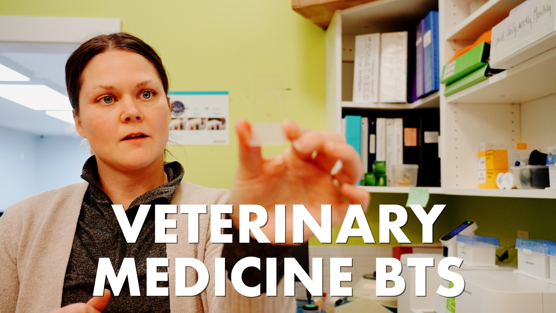Veterinary Technician working in the lab at iCare Veterinary Hospital in Coombs