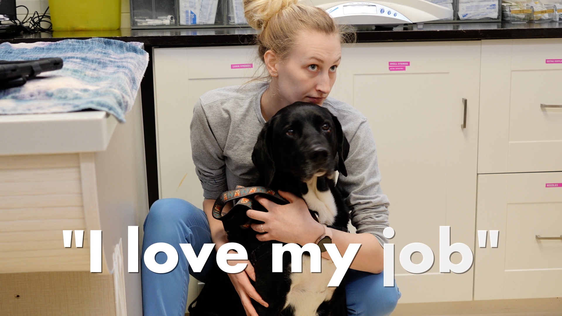A veterinary assistant at i-Care Veterinary Hospital is holding a dog who is awaiting treatment.