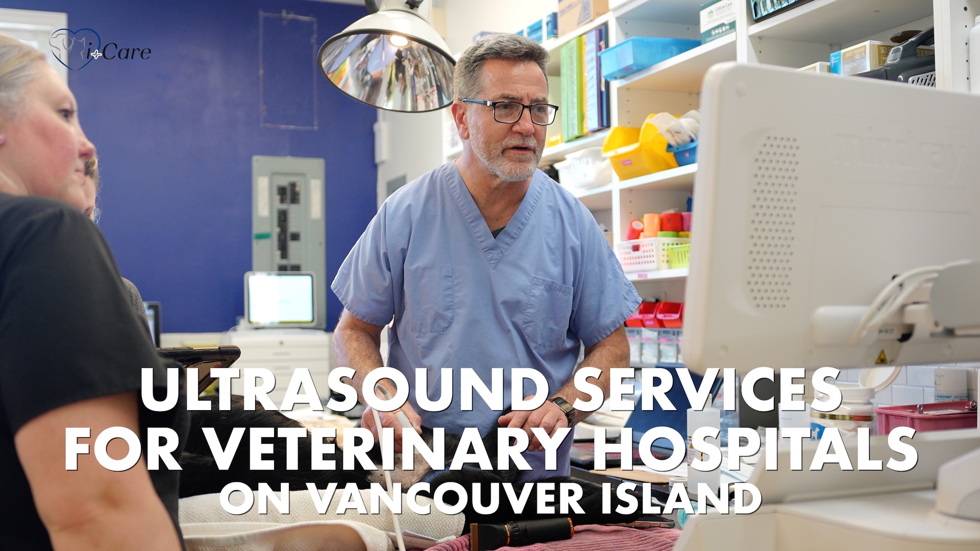 Ultrasound Services for Veterinary Clinics on Vancouver Island