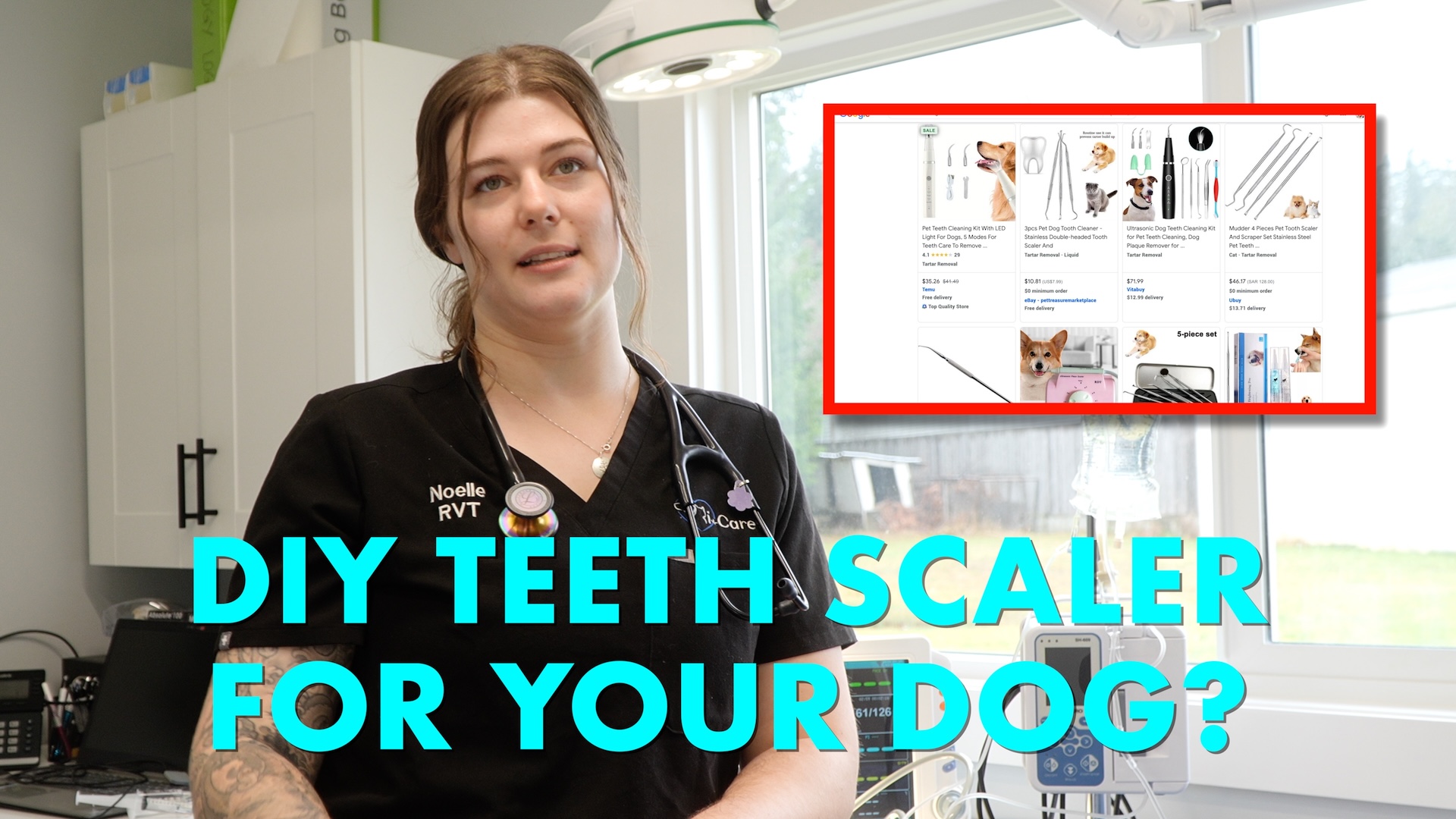 Should You Buy An At Home Teeth Scaler for Your Dog?