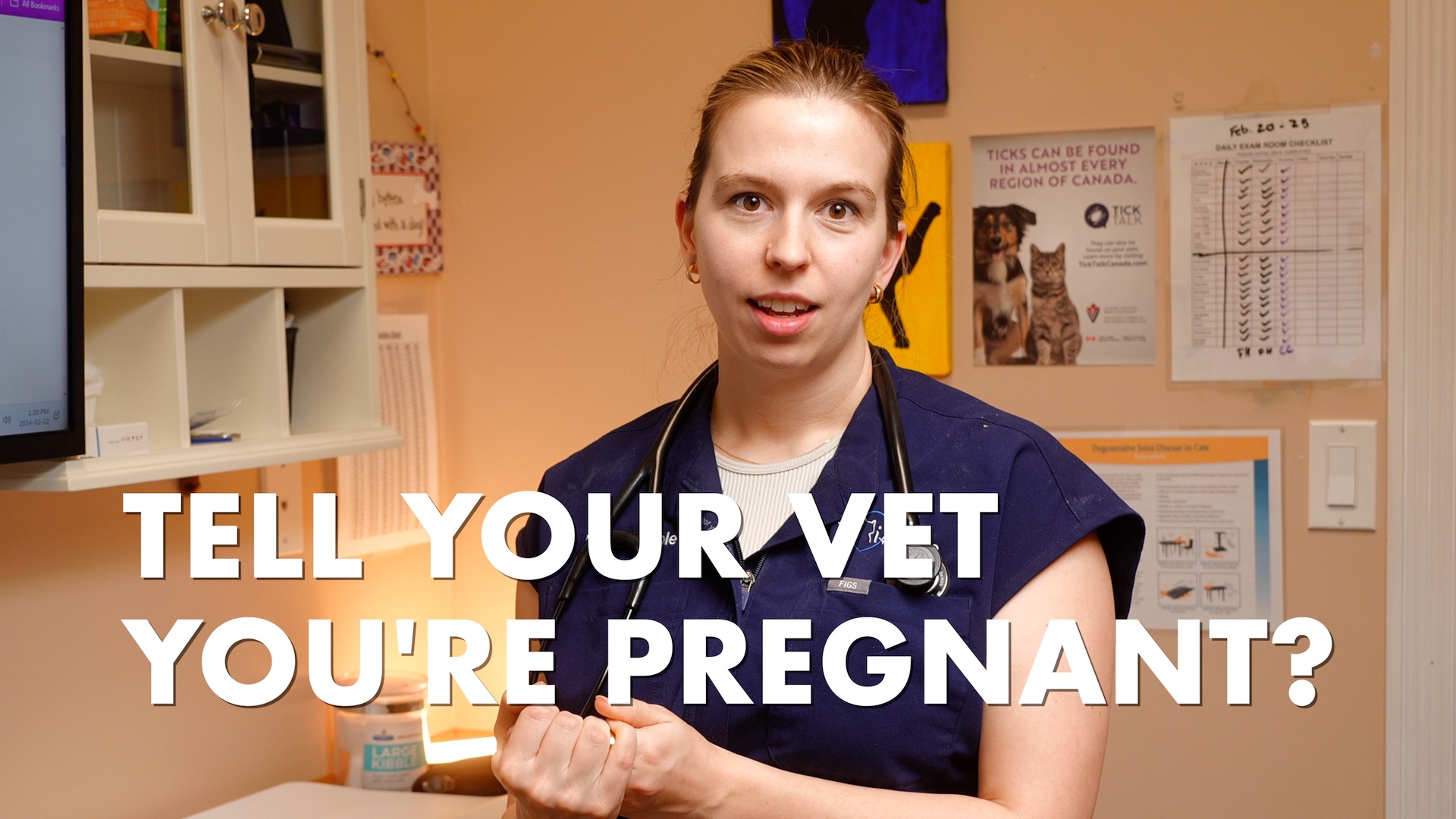 Should You Tell Your Vet You're Pregnant